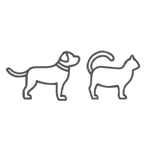 Pet Friendly