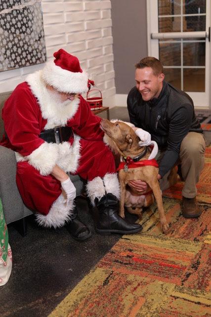 7 nye party decoration ideas santa with guy and dog