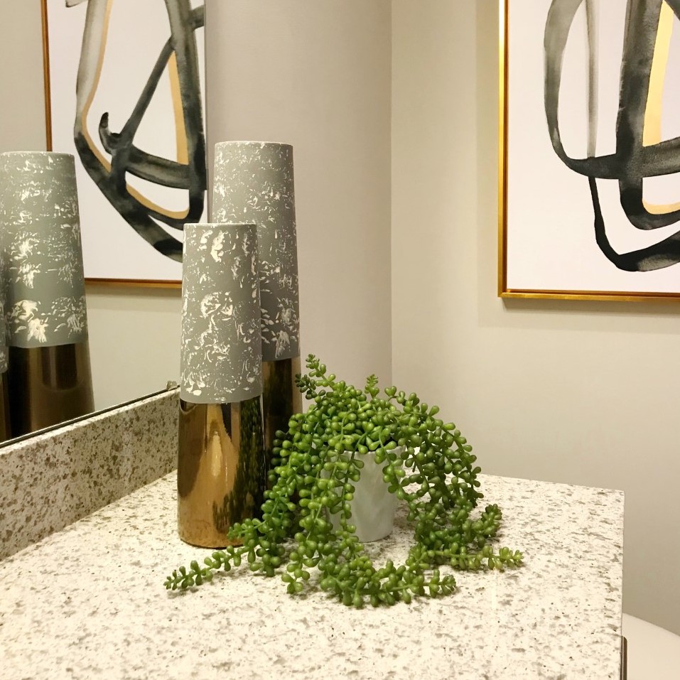 apartment houseplants succulents on bathroom counter
