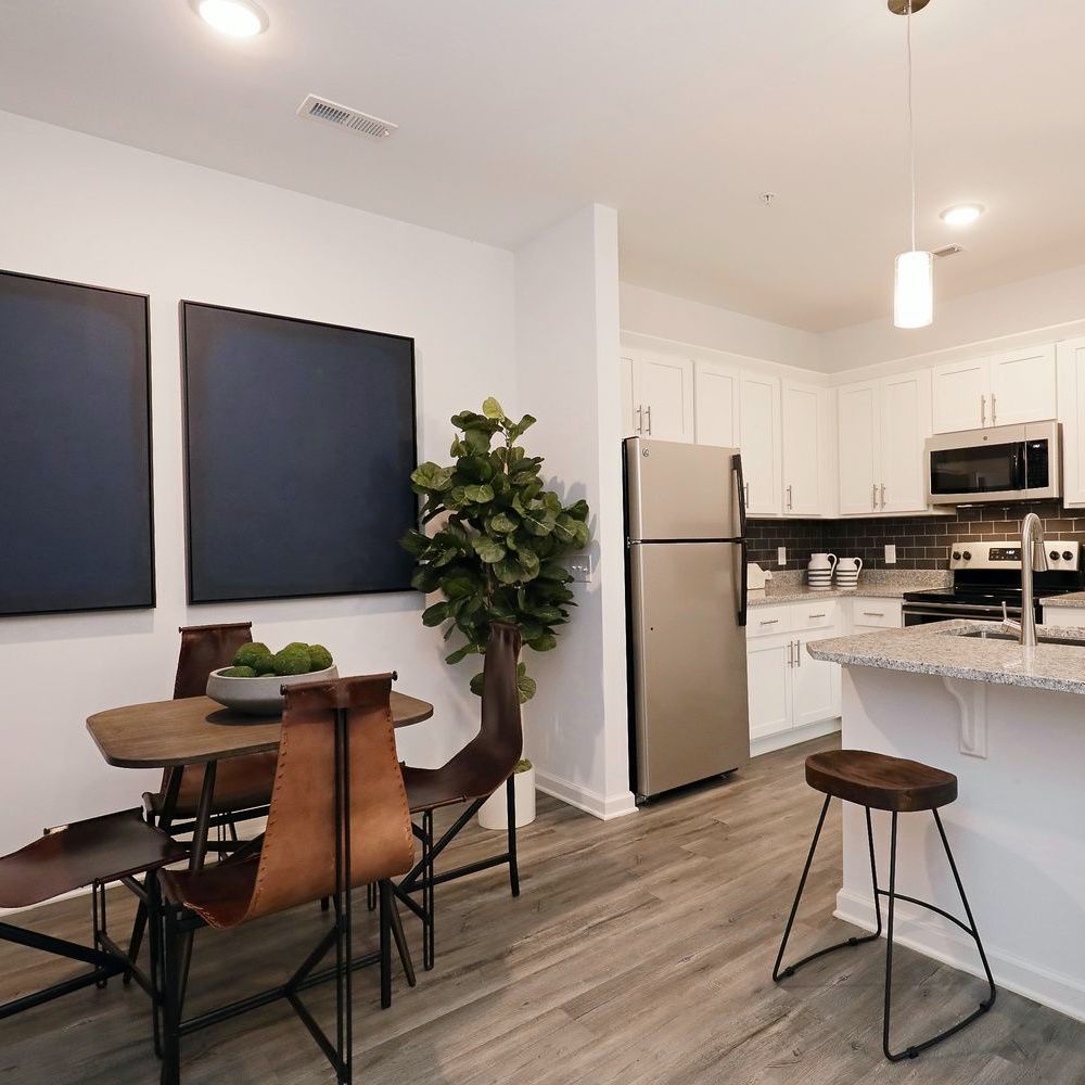 houseplants for apartment fig tree in kitchen