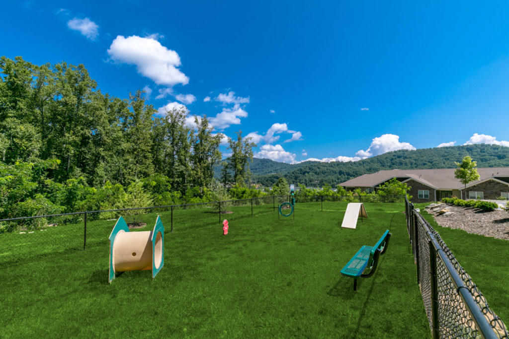 dog park at evolve community