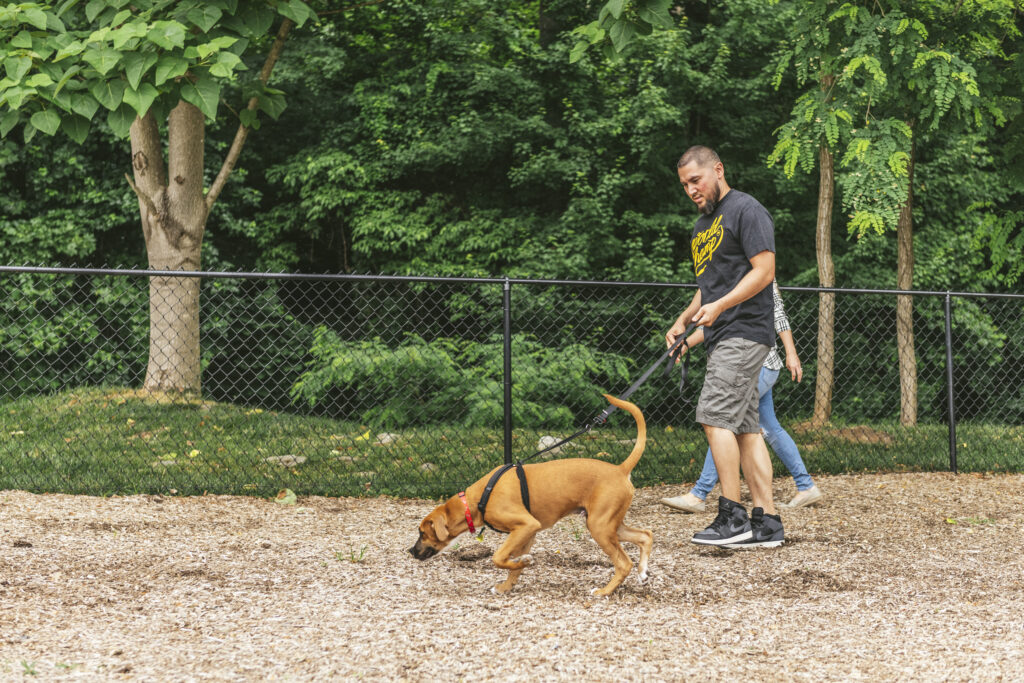 guy walking dog at dog park evolve