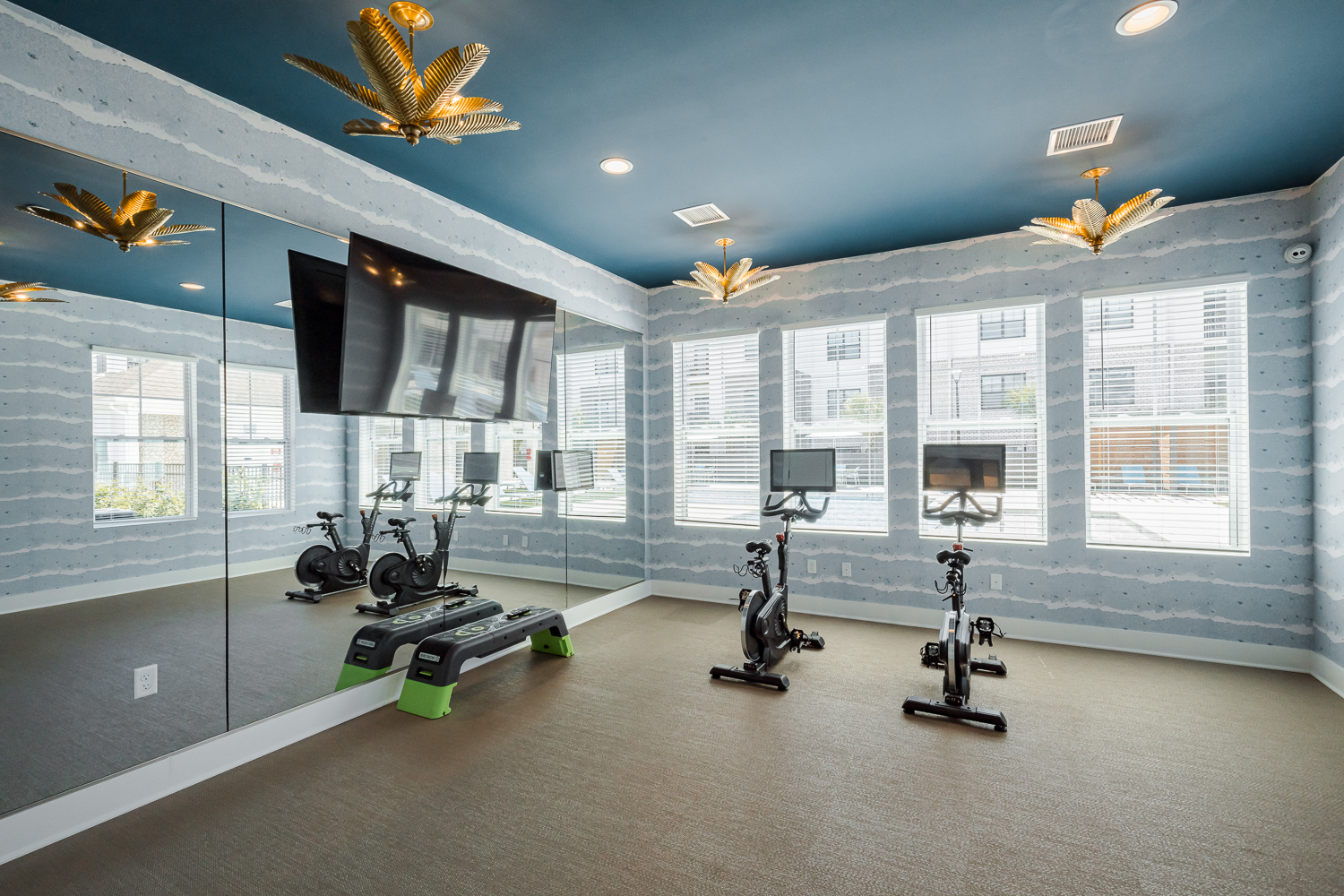 evolve-surf-city-yoga-room-wallpaper evolve surf city yoga room wallpaper