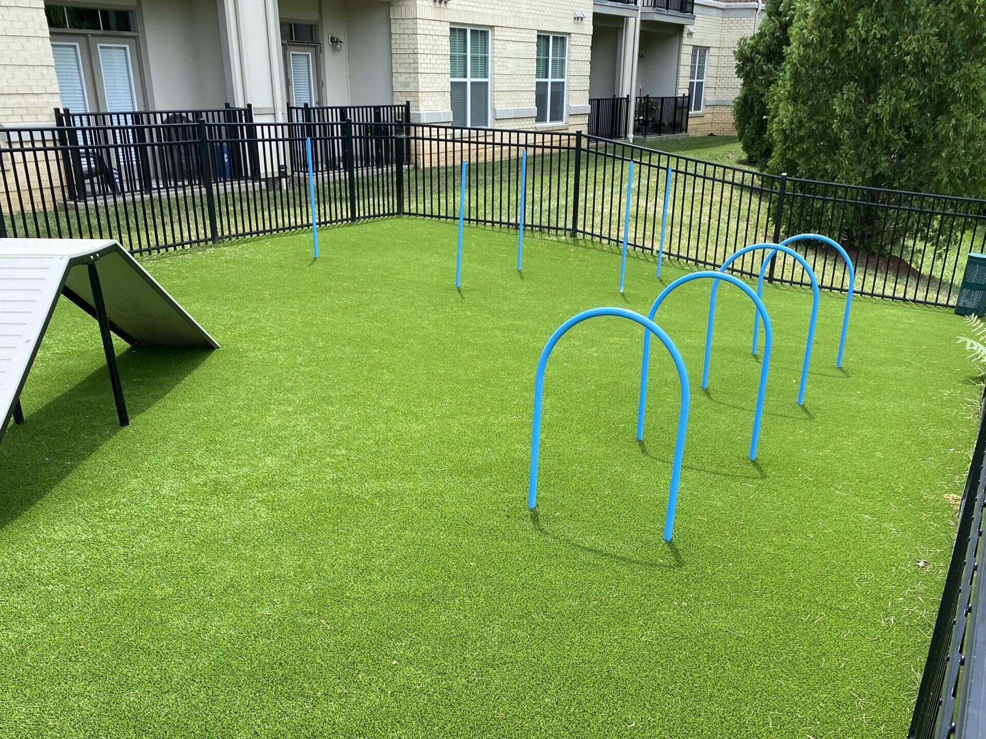 evolve summer blog 1701 north bark park agility