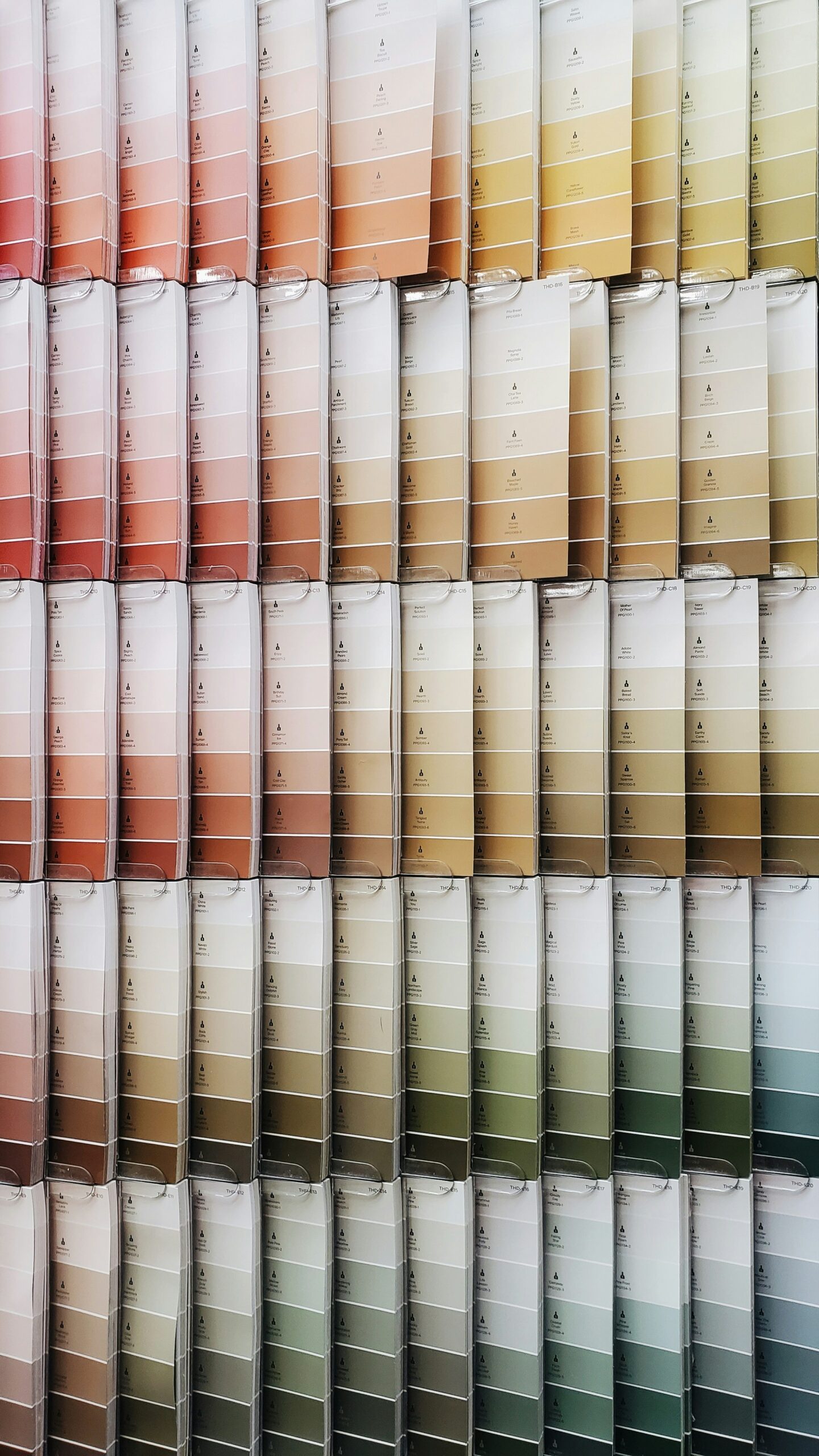 evolvecos-interior-design-color